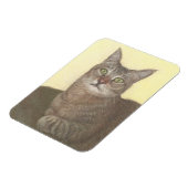 Abyssinische kattenmagneet magneet (Linkerzijde)