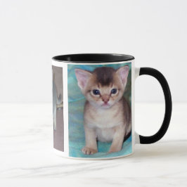 Abyssinius Cat Kittens Mok