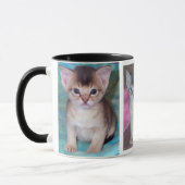 Abyssinius Cat Kittens Mok (Links)