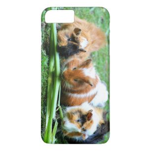 Abyssische guinese iPhone 8/7 plus hoesje