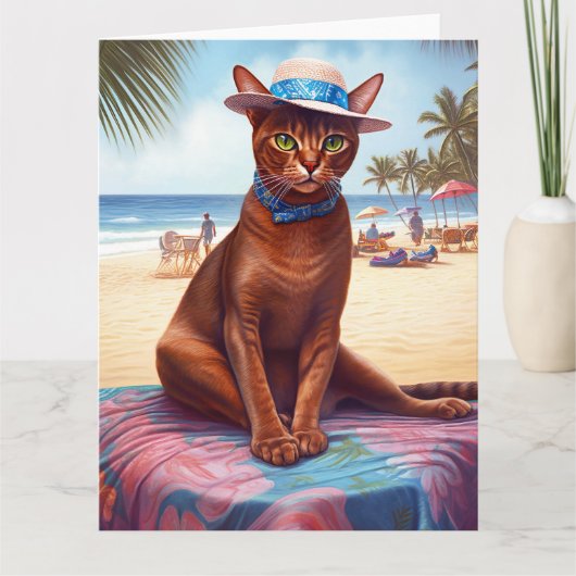 Abyssische kat op strand, zomercadeau voor kattenl kaart (Voorkant)