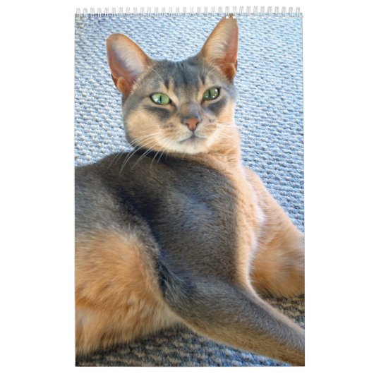 Abyssische Katten - Agenda Kalender (Hoes)