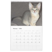 Abyssische katten en keukenkalender kalender (Feb 2026)