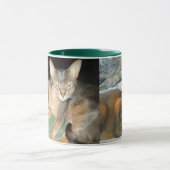 Abyssische katten mok (Midden)