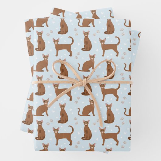 Abyssische papierbladen voor onmiddellijke verpakk inpakpapier vel (In situ)