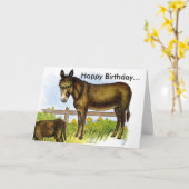 ABZ50025, Gelukkige Verjaardag… Kaart (Gele Bloem)