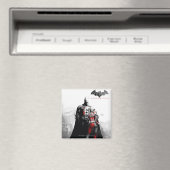 AC-Poster - Batman & Harley Magneet (Insitu (Vaatwasser))