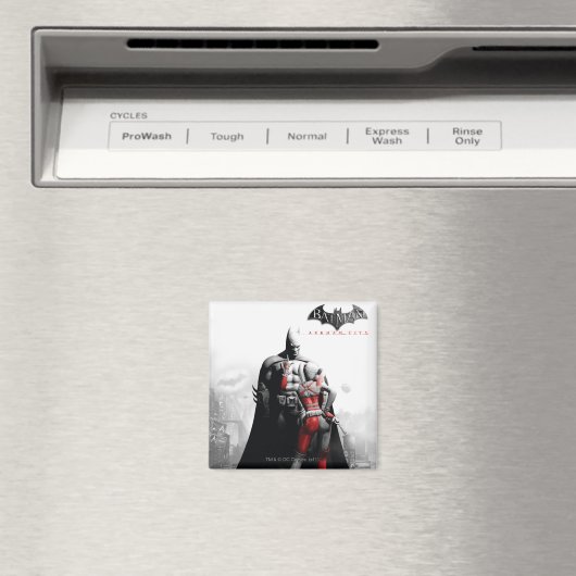 AC-Poster - Batman & Harley Magneet (Insitu (Vaatwasser))
