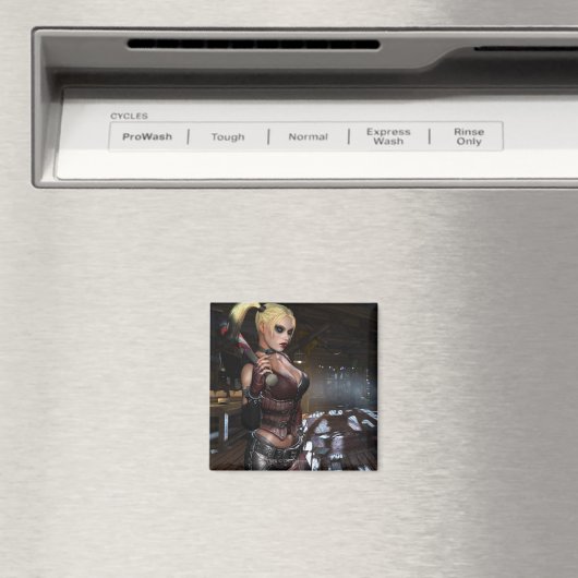 AC Screenshot 11 Magneet (Insitu (Vaatwasser))