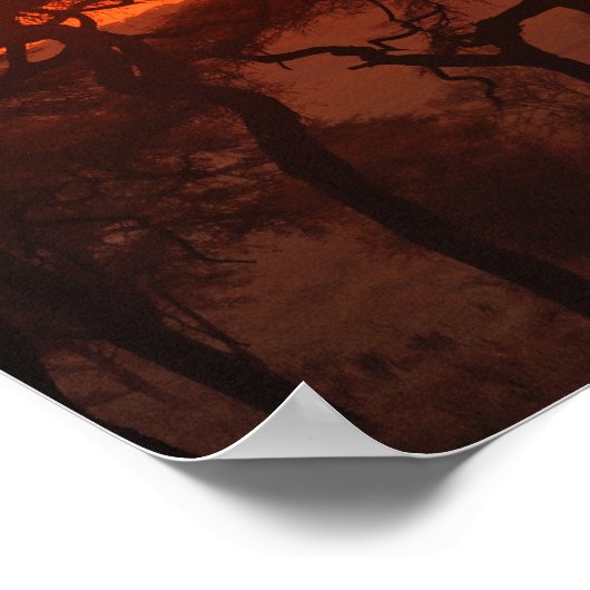 Acacia bos gesilhoueteerd bij zonsondergang, Taran Poster (Hoek)