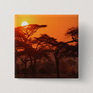 Acacia bos gesilhoueteerd bij zonsondergang, Taran Vierkante Button 5,1 Cm