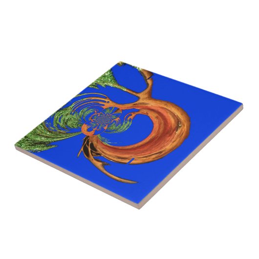 Acacia Circle Art Print Tegeltje (Zijkant)