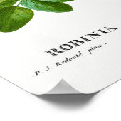  Acacia-illustratie Poster (Hoek)