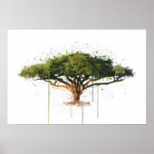 Acacia Poster (Voorkant)