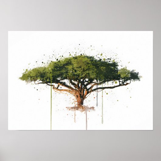 Acacia Poster (Voorkant)