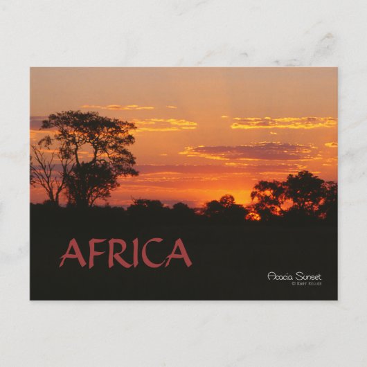 Acacia Sunset Africa Briefkaart (Voorkant)