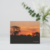 Acacia Sunset Briefkaart (Staand voorkant)