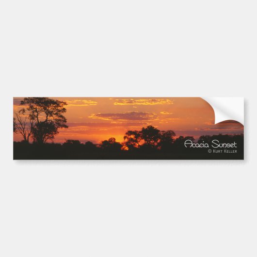 Acacia Sunset Bumpersticker (Voorkant)