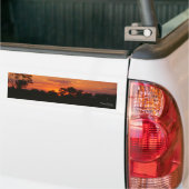 Acacia Sunset Bumperstickers (Op Truck)