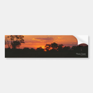 Acacia Sunset Bumperstickers