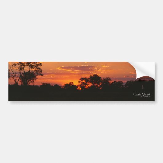 Acacia Sunset Bumperstickers (Voorkant)