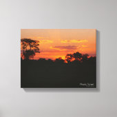 Acacia Sunset Canvas Afdruk (Voorkant)