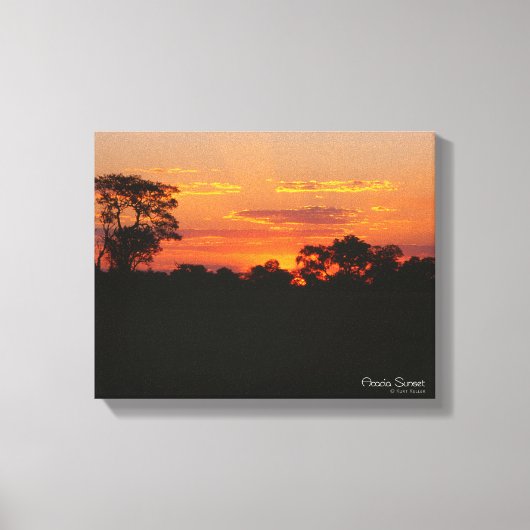 Acacia Sunset Canvas Afdruk (Voorkant)