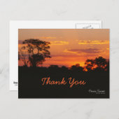 Acacia Sunset Dank u Briefkaart (Voorkant / Achterkant)