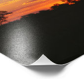 Acacia Sunset Foto Afdruk (Hoek)