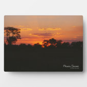 Acacia Sunset Fotoplaat (voorkant)