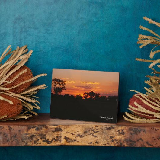 Acacia Sunset Fotoplaat (Zijkant)