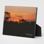 Acacia Sunset Fotoplaat (Zijkant)