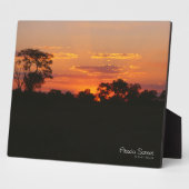 Acacia Sunset Fotoplaat (Zijkant)