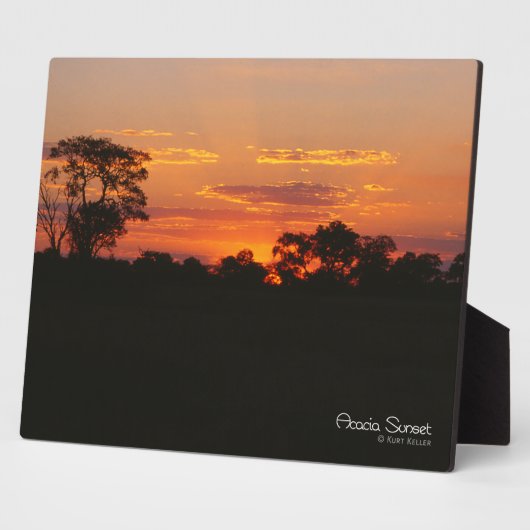 Acacia Sunset Fotoplaat (Zijkant)