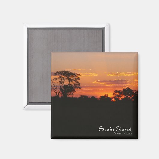 Acacia Sunset Magneet (Voorkant / Achterkant)