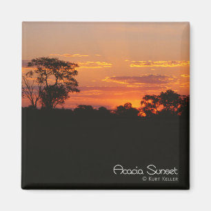 Acacia Sunset Magneet