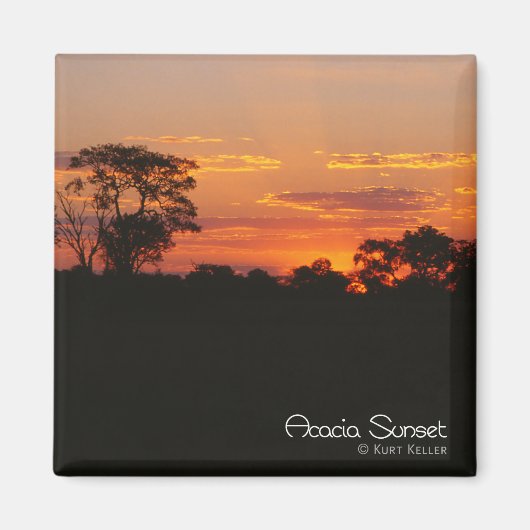 Acacia Sunset Magneet (Voorkant)