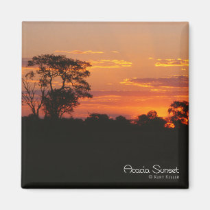 Acacia Sunset Magnet
