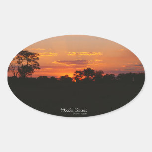 Acacia Sunset Oval Stickers