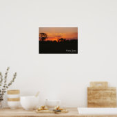 Acacia Sunset Poster (Keuken)