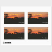 Acacia Sunset Rechthoekige Sticker (Vel)