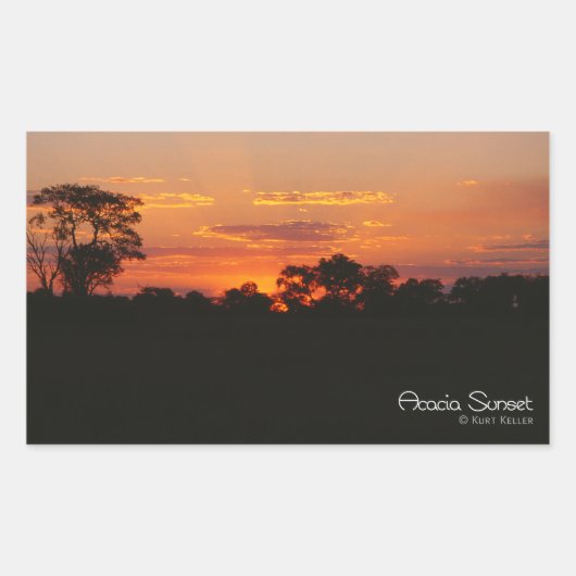 Acacia Sunset Rechthoekige Sticker (Voorkant)