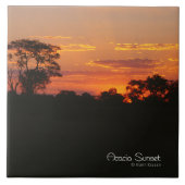 Acacia Sunset Tegeltje (Voorkant)