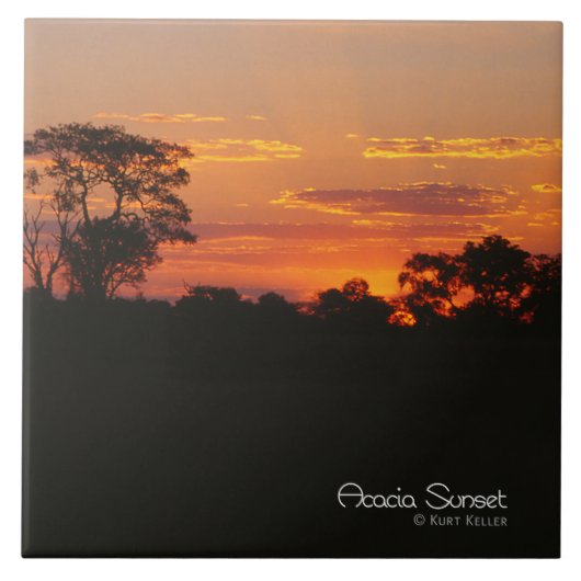 Acacia Sunset Tegeltje (Voorkant)