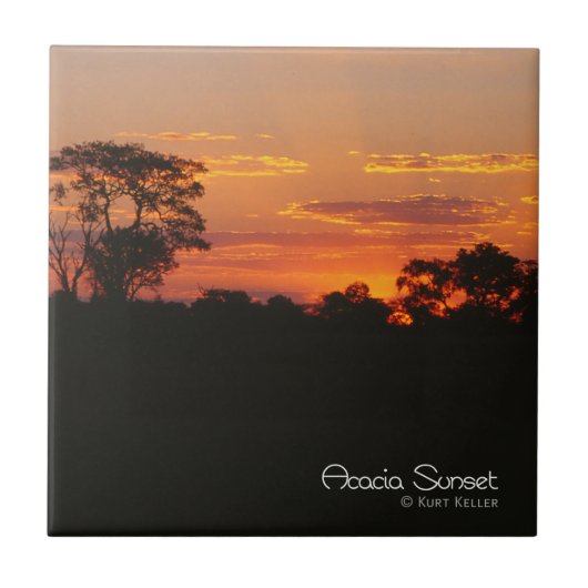 Acacia Sunset Tegeltje (Voorkant)