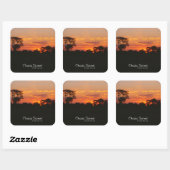 Acacia Sunset Vierkante Sticker (Vel)