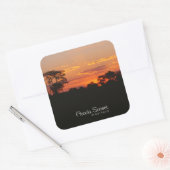 Acacia Sunset Vierkante Sticker (Envelop)