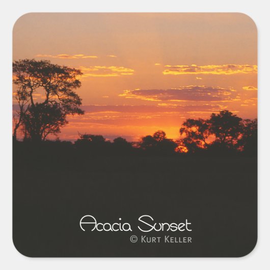 Acacia Sunset Vierkante Sticker (Voorkant)