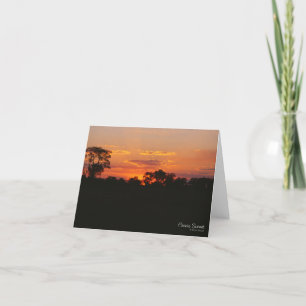 Acacia Sunset Wenskaart Kaart