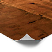 Acacia Tree 16 x 20 door Ben Walker Poster (Hoek)